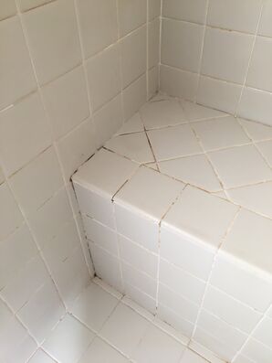 Shower Re-grout in Peoria, AZ (1)