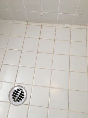 Shower Re-grout in Peoria, AZ (2)