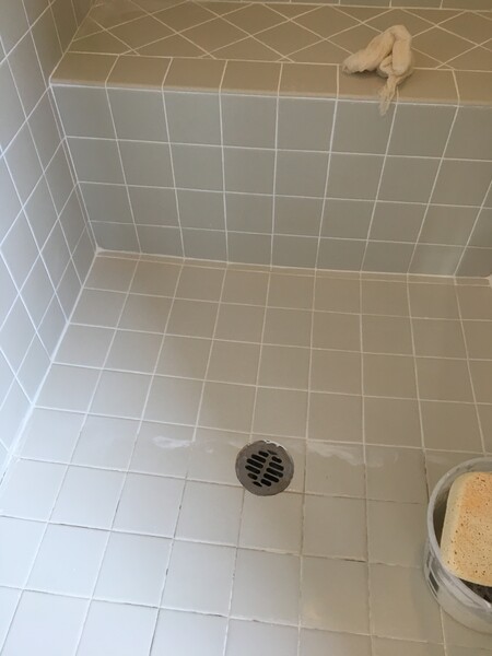 Shower Re-grout in Peoria, AZ (9)