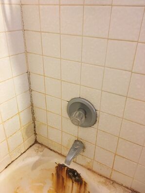 Before & After Tub Tile Cleaning & Repair in Glendale, AZ (2)