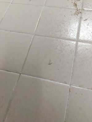 Before & After Tile & Grout Cleaning in Phoenix, AZ (1)